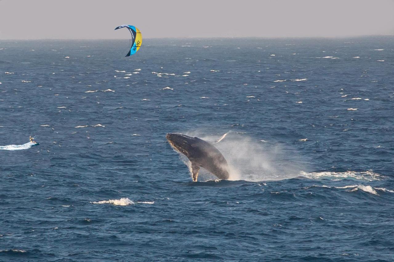 Kitesurf Tofo House - 1 Minute Walk From Beach And Center Εξωτερικό φωτογραφία
